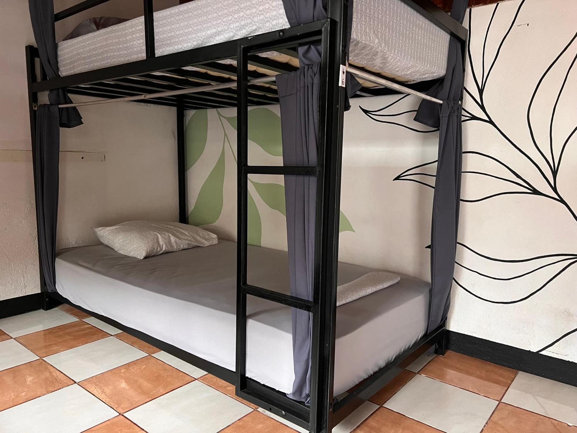 Rio Danta Hostel La Fortuna 外观 照片