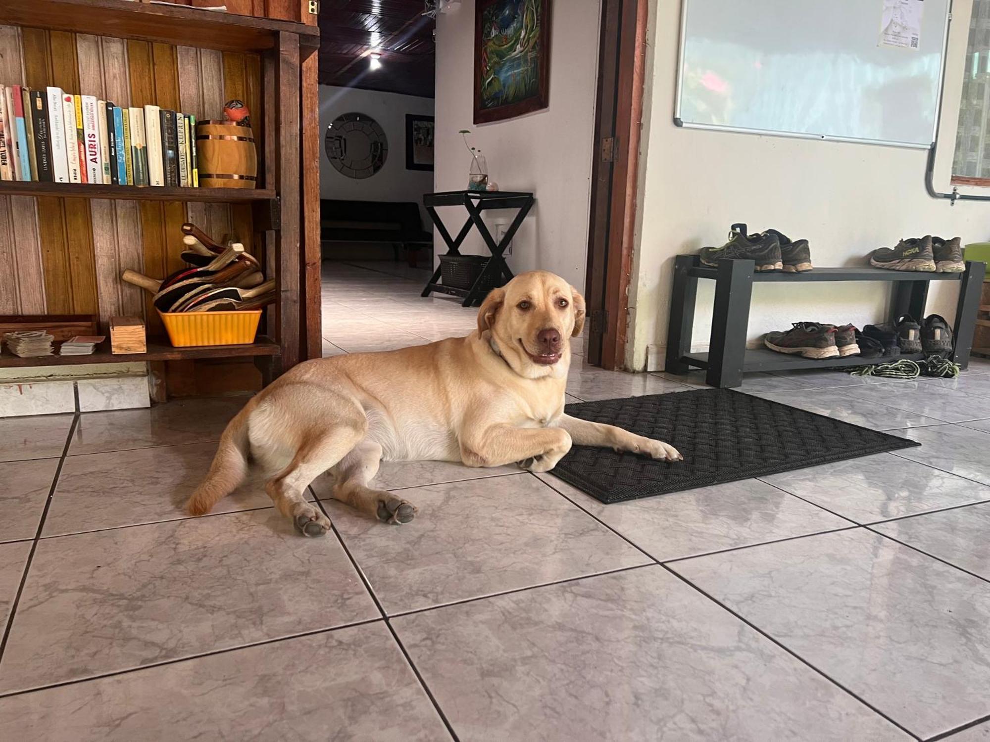 Rio Danta Hostel La Fortuna 外观 照片