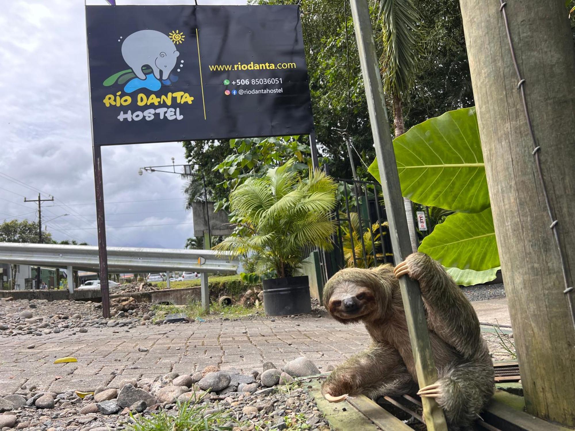 Rio Danta Hostel La Fortuna 外观 照片